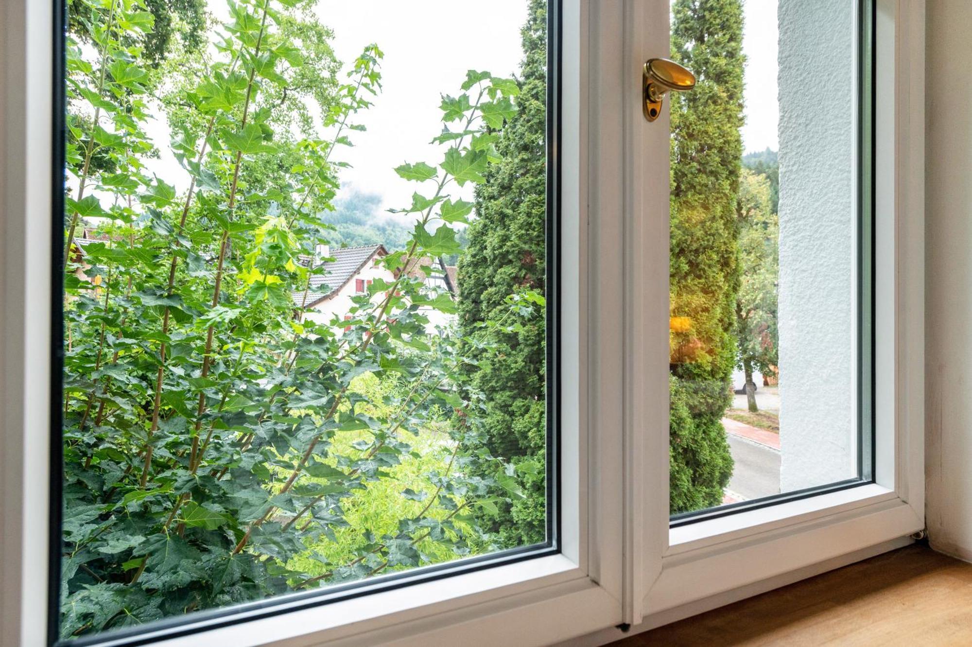 Appartement Waldhorn Badenweiler Eksteriør bilde